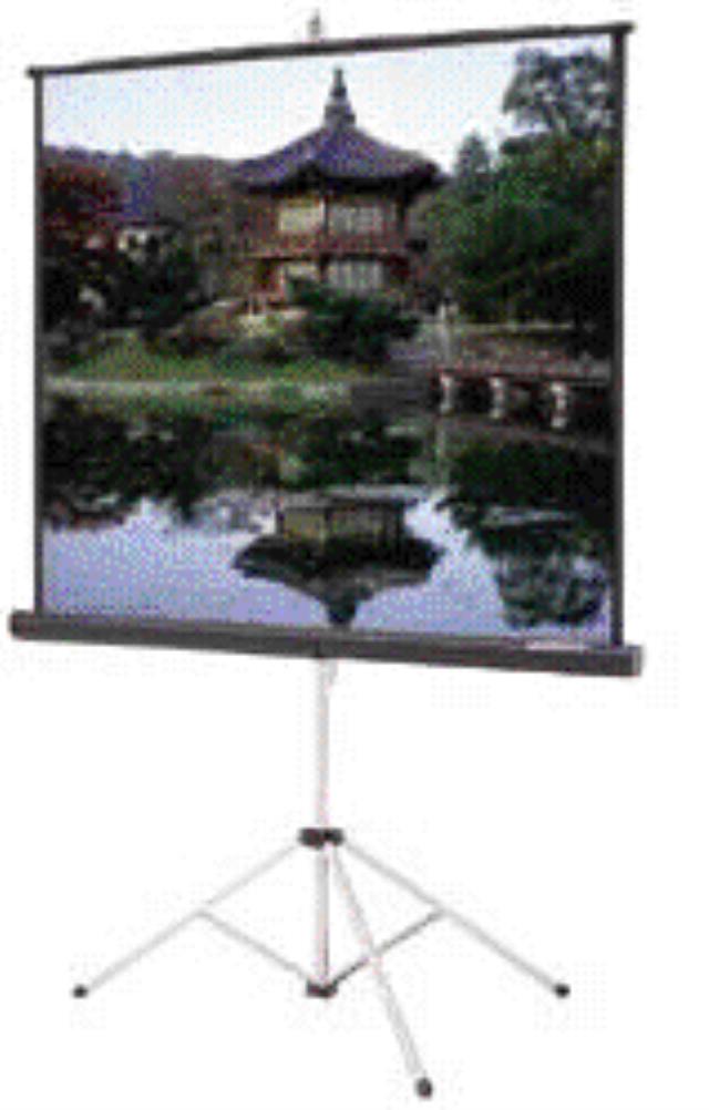 Rental store for PROJECTION SCREEN, 72  x 72 in Cary NC