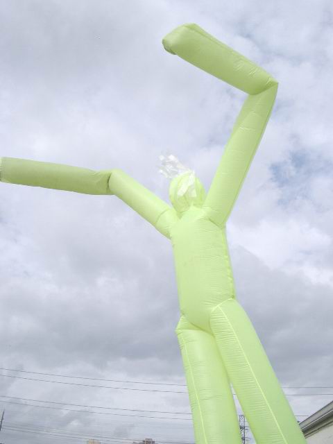 Rental store for FLY GUY, 18  YELLOW FLY GUY in Cary NC