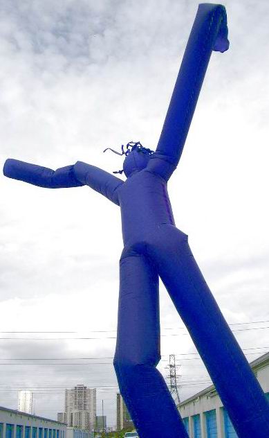 Rental store for FLY GUY, 30  PURPLE FLY GUY in Cary NC