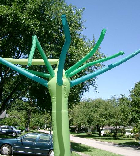 Rental store for FLY GUY, 16  ANEMONE  TREE in Cary NC