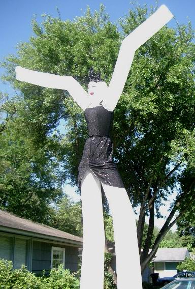 Rental store for FLY GUY, 24  LOLA IN BLACK DRESS in Cary NC