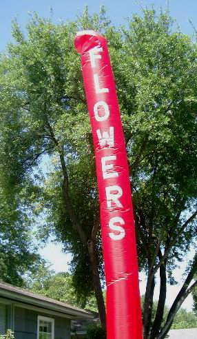 Rental store for FLY GUY, 18  RED W   FLOWERS   VERTITUBE in Cary NC