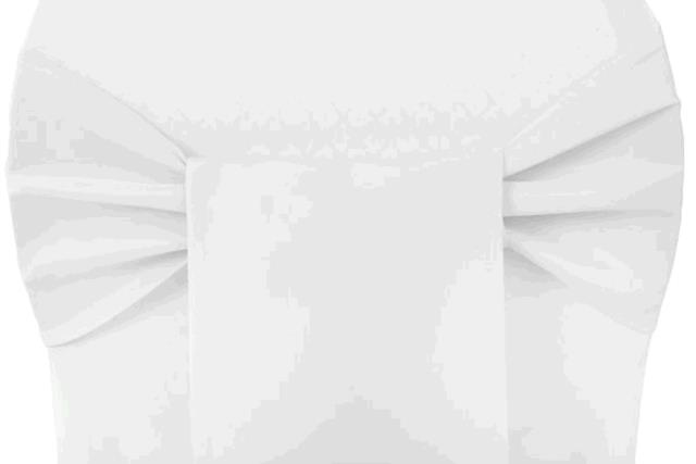 Rental store for SASH, POLYESTER, WHITE in Cary NC