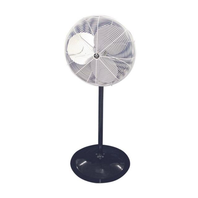 Rental store for PEDESTAL FAN - 30  DIAMETER in Cary NC