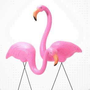 Rental store for FLAMINGOES, PINK in Cary NC